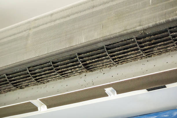 Best Best Air Duct Cleaning Company  in Alb, IA
